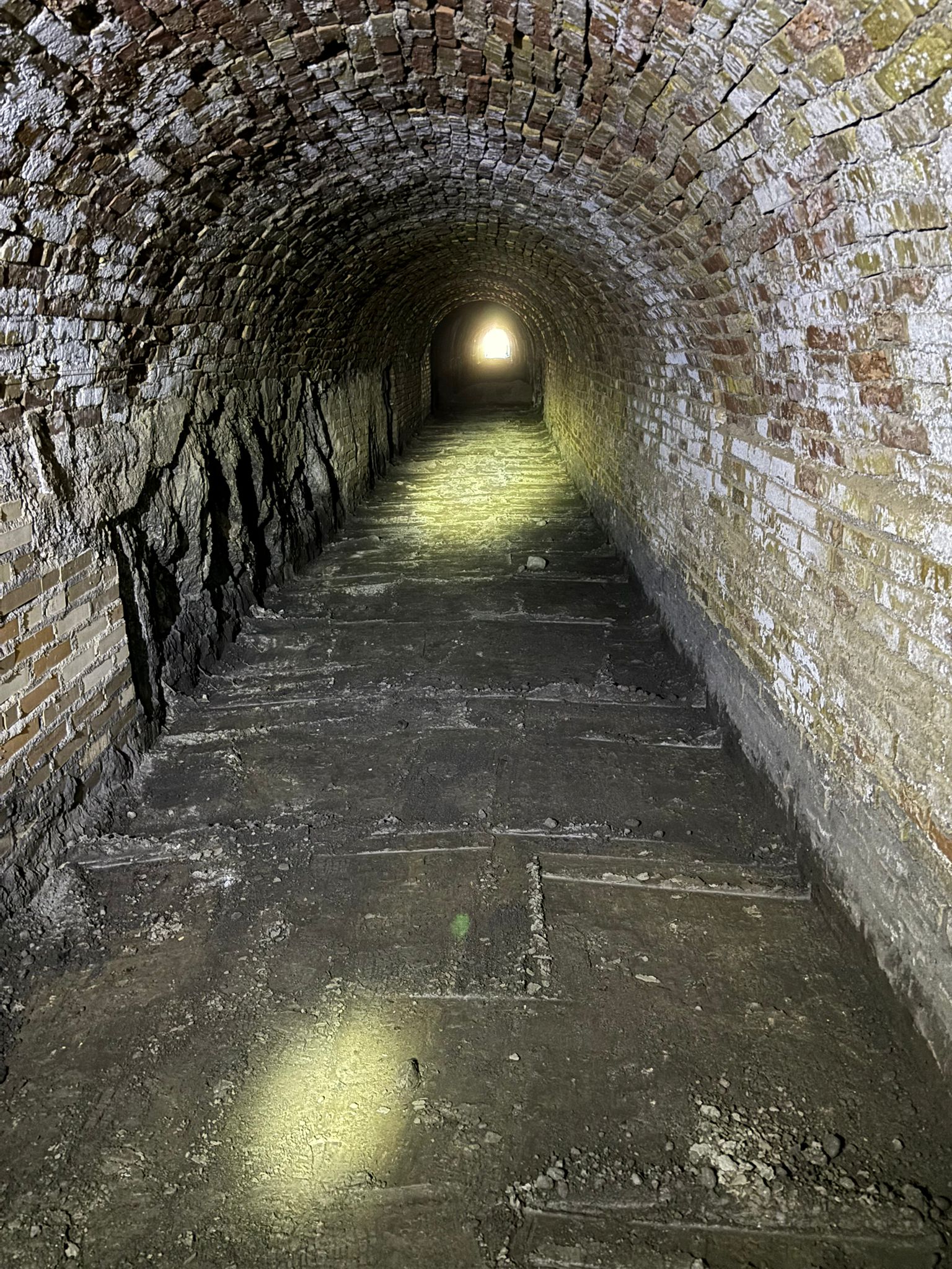 Recuperación túnel minero de Villaricos