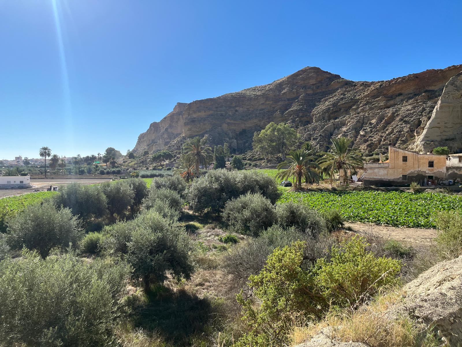 Ayuntamiento y Mancomunidad inauguran el Sendero de Calguerín un viaje al corazón del patrimonio cuevano