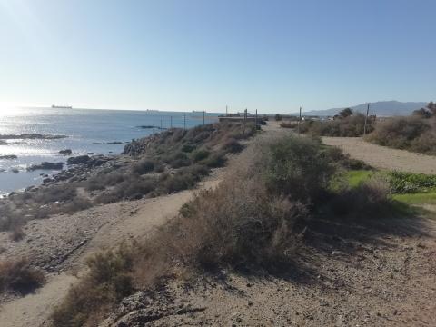 Adecuación y restauración ambiental de la zona de Villaricos y el río Almanzora
