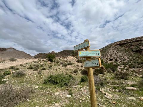 Obras de adecuación del nuevo sendero de acceso al yacimiento de Fuente Álamo
